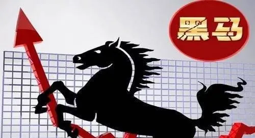 黑马股早期特征有哪些 what-are-the-early-characteristics-of-dark-horse-stocks