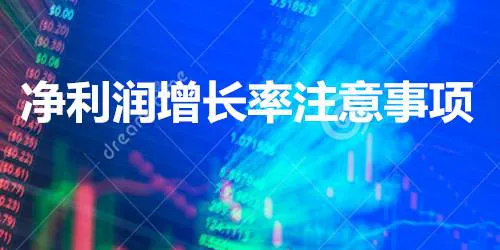 净利润增长率使用时的注意事项 considerations-when-using-the-net-profit-growth-rate