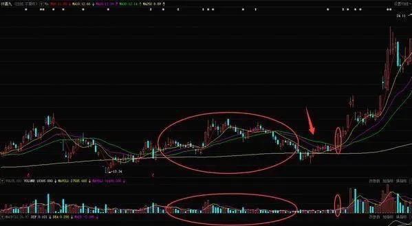 炒股时如何运用幸福鸟战法进行追涨？ how-to-use-the-happy-bird-strategy-to-chase-up-when-trading-stocks