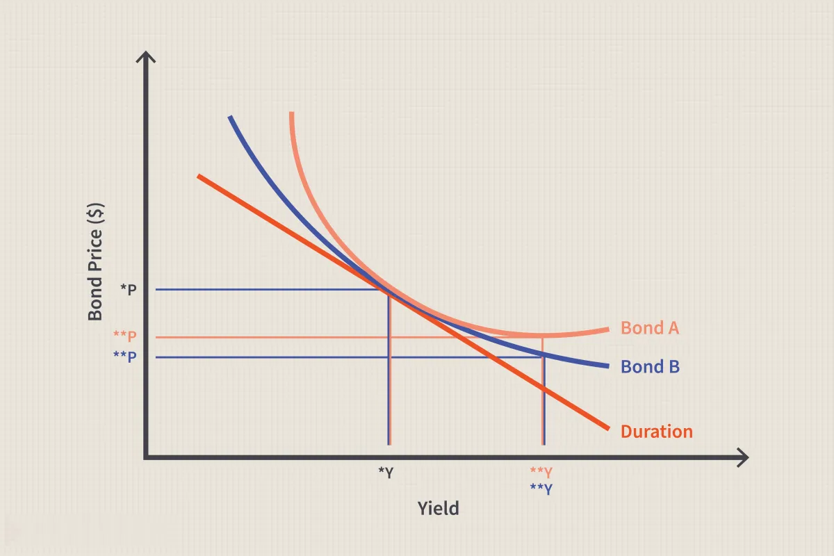 凸度定義 convexity-definition