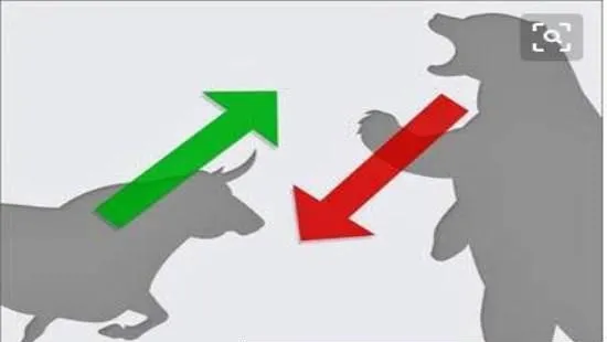 牛、熊市該如何操作？ what-should-i-do-in-a-bull-and-bear-market