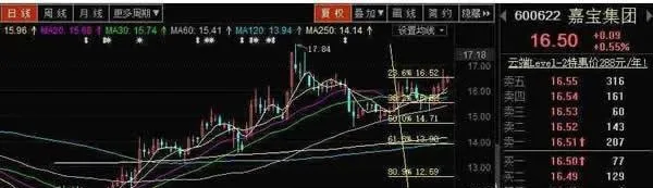 百分比線與黃金分割線的相似之處 similarities-between-the-percentage-line-and-the-golden-section-line