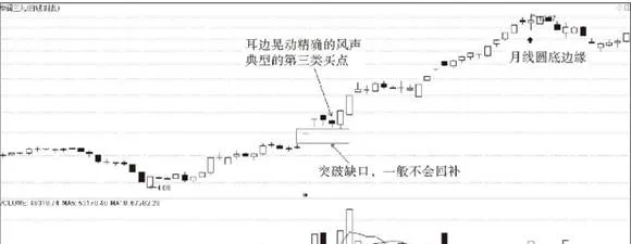 將8億大米裝到5個莊家的肚裏 800-million-rice-into-the-bellies-of-5-dealers