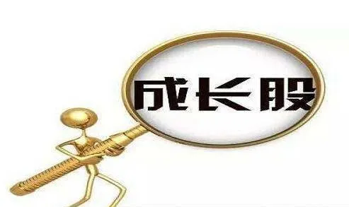 “成長股調研與投資體系” growth-stock-research-and-investment-system