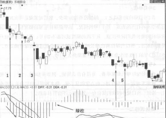绿柱的增长实盘演练分析 analysis-of-green-columns-growth-real-offer-drill