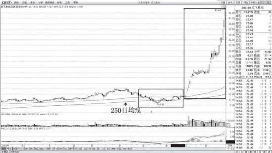为什么说黑马黄金坑是“马后炮”？ why-is-the-dark-horse-golden-pit-an-afterthought
