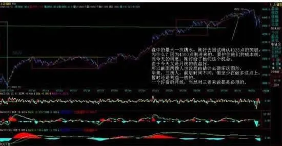 主力資金的食物鏈 the-food-chain-of-the-main-money