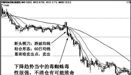 均線毒蜘蛛特殊形態實戰應用技巧分析 analysis-on-the-application-skills-of-the-special-form-of-the-poison-spider
