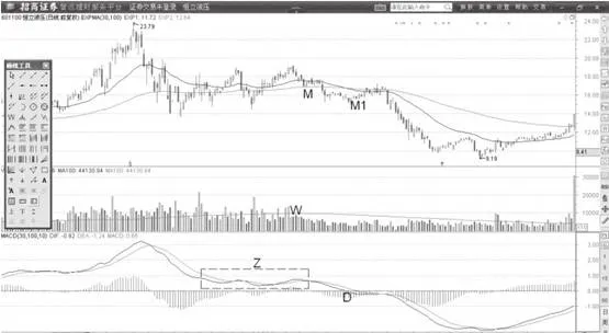 MACD指标的下跌趋势震荡 the-macd-indicator-is-oscillating-in-a-downtrend