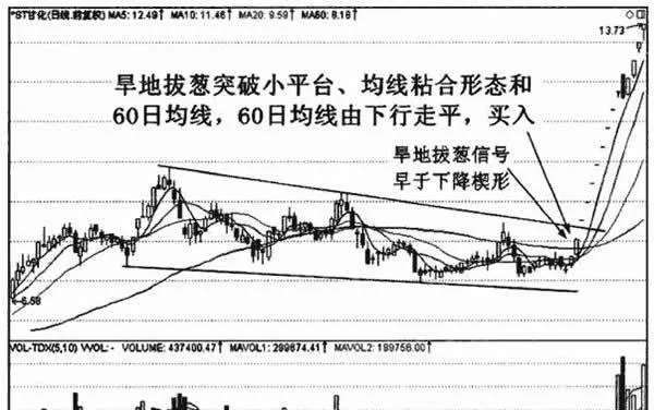 什么是旱地拔葱？旱地拔葱形态技术详解 what-is-pulling-onions-in-dry-land-detailed-explanation-of-the-morphological-technology-of-pulling-onion-in-dry-land