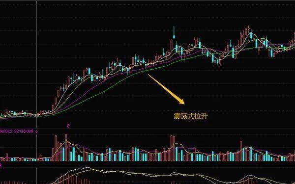股民应对庄家震荡式拉升的技巧有哪些？ what-are-the-skills-for-investors-to-deal-with-the-shock-pull-of-the-market-maker