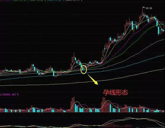 股票知识学习｜什么是见底反转K线孕线形态？K线孕线形态的特征有哪些？ stock-knowledge-learning-what-is-the-bottoming-reversal-candlestick-pregnancy-line-pattern-what-are-the-characteristics-of-the-morphology-of-the-kline-pregnancy-line