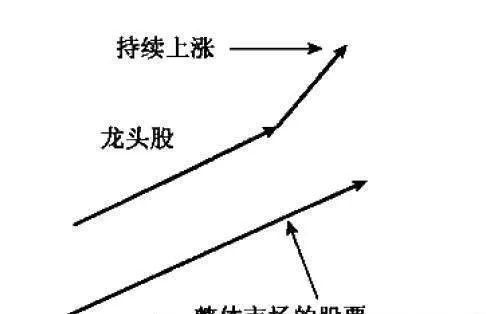相互驗證的起源：基於反操縱論 the-origins-of-mutual-verification-based-on-antimanipulation-theory