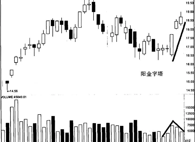 關於興蓉投資“陽金字塔”實例的分析 an-analysis-of-the-example-of-xingrongs-investment-in-the-yang-pyramid