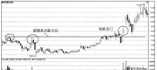 分析日線形態捕捉漲停股：魚躍龍門式漲停的日線形 analyze-the-daily-pattern-to-capture-the-daily-limit-stocks-the-daily-pattern-of-the-fish-leaping-dragon-gate-daily-limit