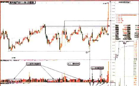 專家教你漲停基因的量柱分析 experts-teach-you-the-analysis-of-the-volume-column-of-the-limit-gene