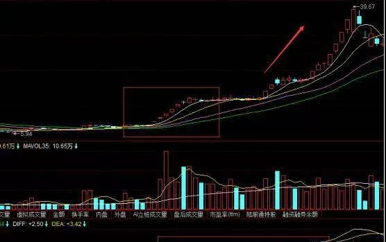 三分钟看懂海豚张嘴形态，海豚嘴形态要点有哪些? three-minutes-to-understand-the-dolphin-mouth-form-what-are-the-key-points-of-the-dolphin-mouth-form