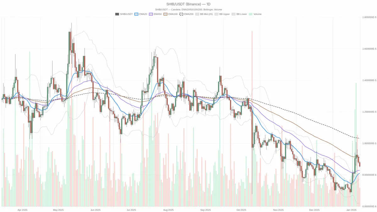 柴犬加密货币分析：本周 SHIBUSDT 的 3 个信号 shiba-inu-crypto-analysis-3-signals-for-shibusdt-this-week