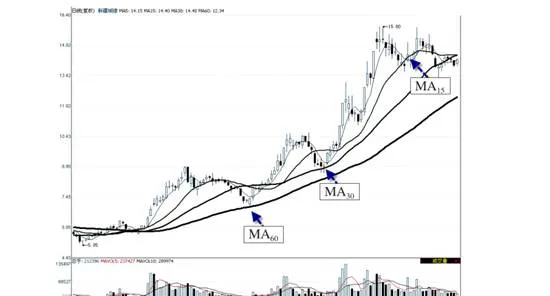 涨势中关注“支撑”均线的转变 in-the-rally-focus-on-the-shift-of-the-support-moving-average
