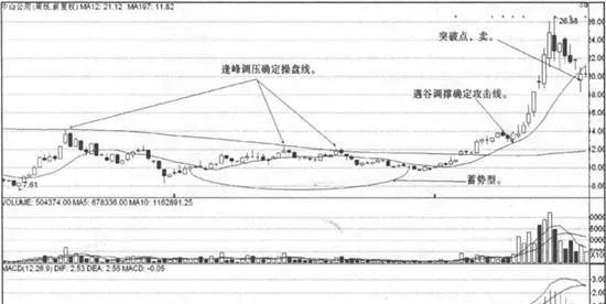 股價跌破攻擊線的賣點實戰案例分析 case-study-on-selling-points-of-stock-price-falling-below-the-attack-line