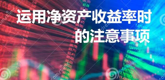 運用淨資產收益率時的注意事項 points-to-note-when-using-roe
