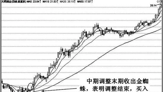 均線金蜘蛛特殊形態實戰應用技巧分析 analysis-on-the-application-skills-of-the-special-form-of-the-golden-spider