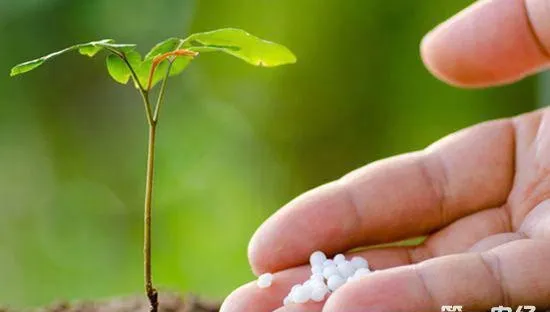 农药化肥股的投资策略 investment-strategies-for-pesticide-and-fertilizer-stocks
